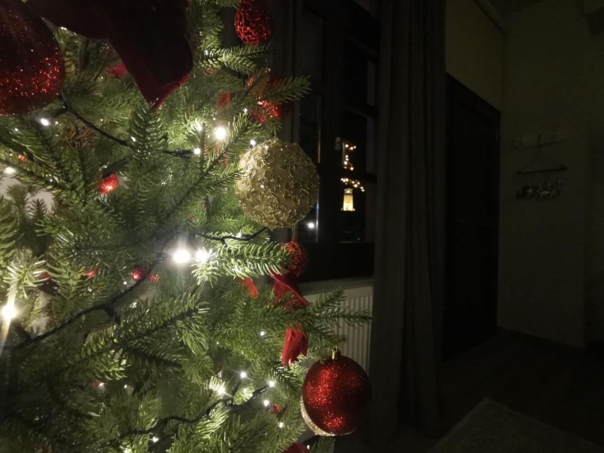 Casa Carina, Arachova Apartment Екстериор снимка